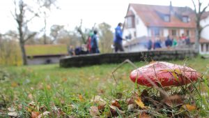 2019-10_Herbstschulungen_Grundkurs_Rötenbach_Seminar_Mitarbeitende_Ehrenamt_Jugendliche