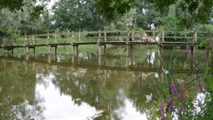 Es gibt auch ruhige Zeiten (außerhalb der Menschenmenge).